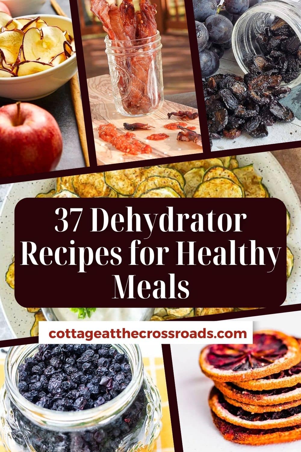37 Dehydrator Recipes for Healthy Snacks - Cottage at the Crossroads