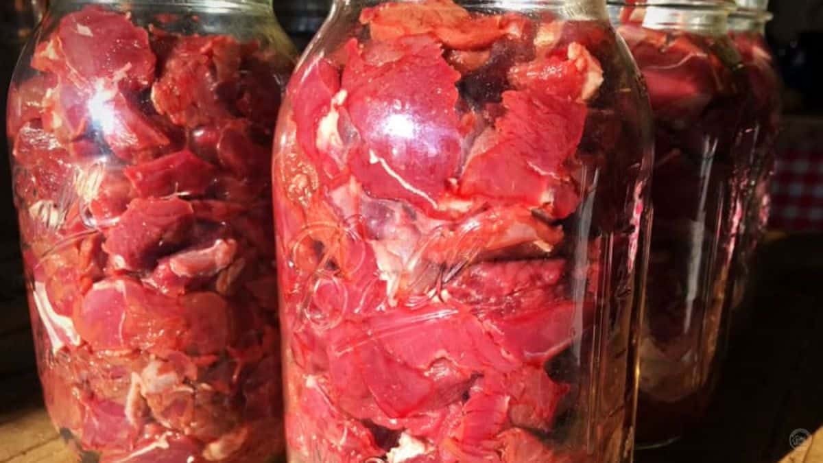 Amish jarred beef in glass jars.