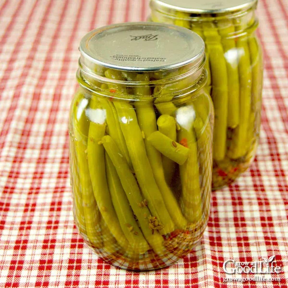 Amish pickled green beans in glass jars.