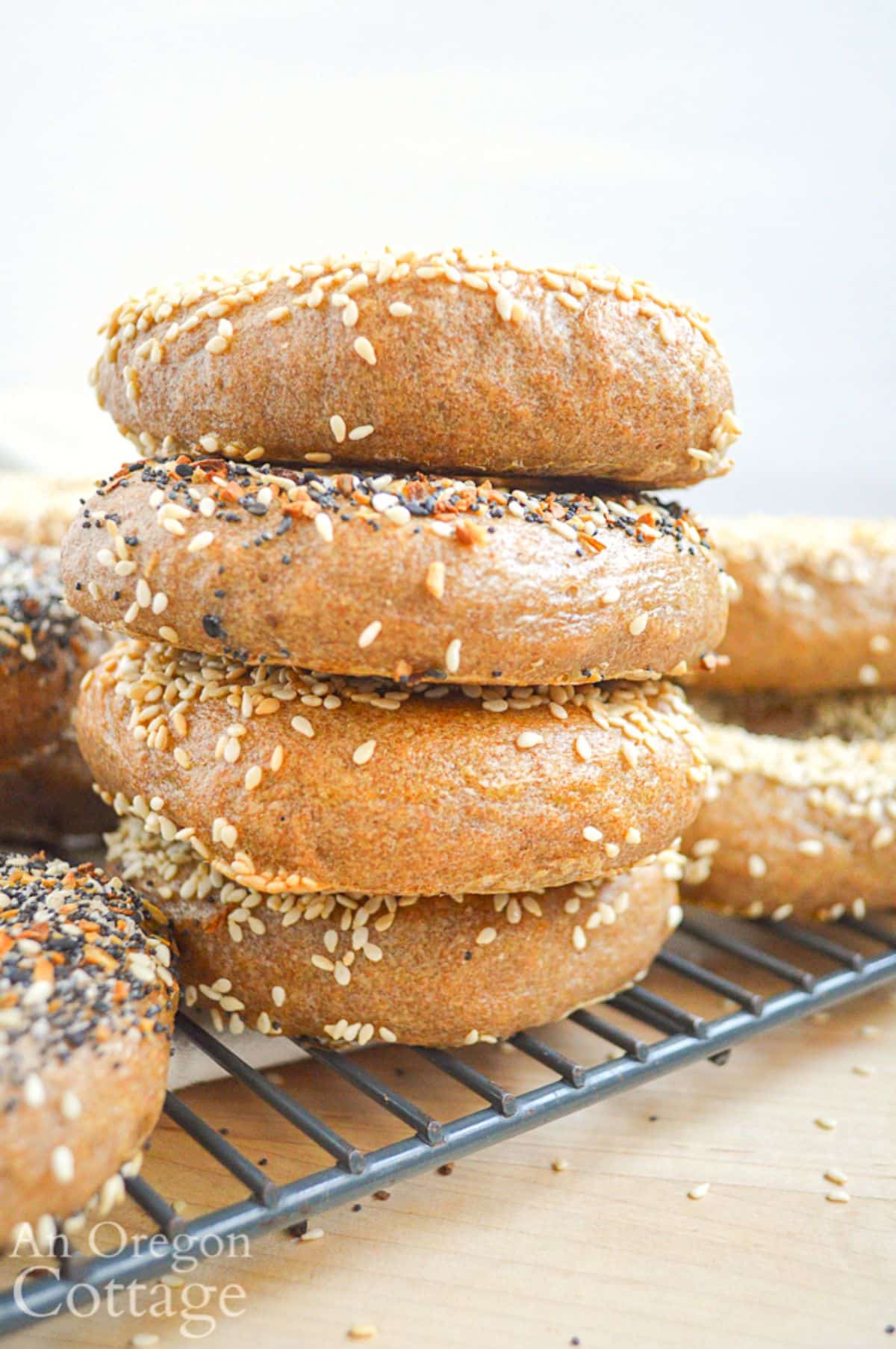 Sourdough bagels on a resting grid.