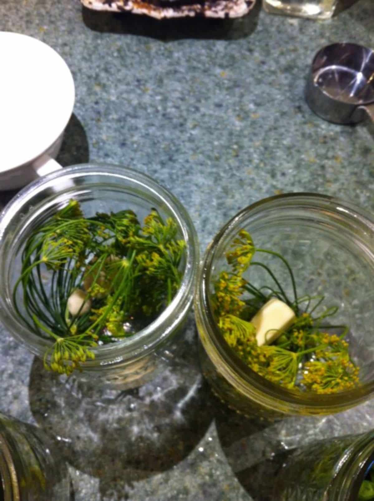 Good old-fashioned pickled dilly beans  in glass jars.