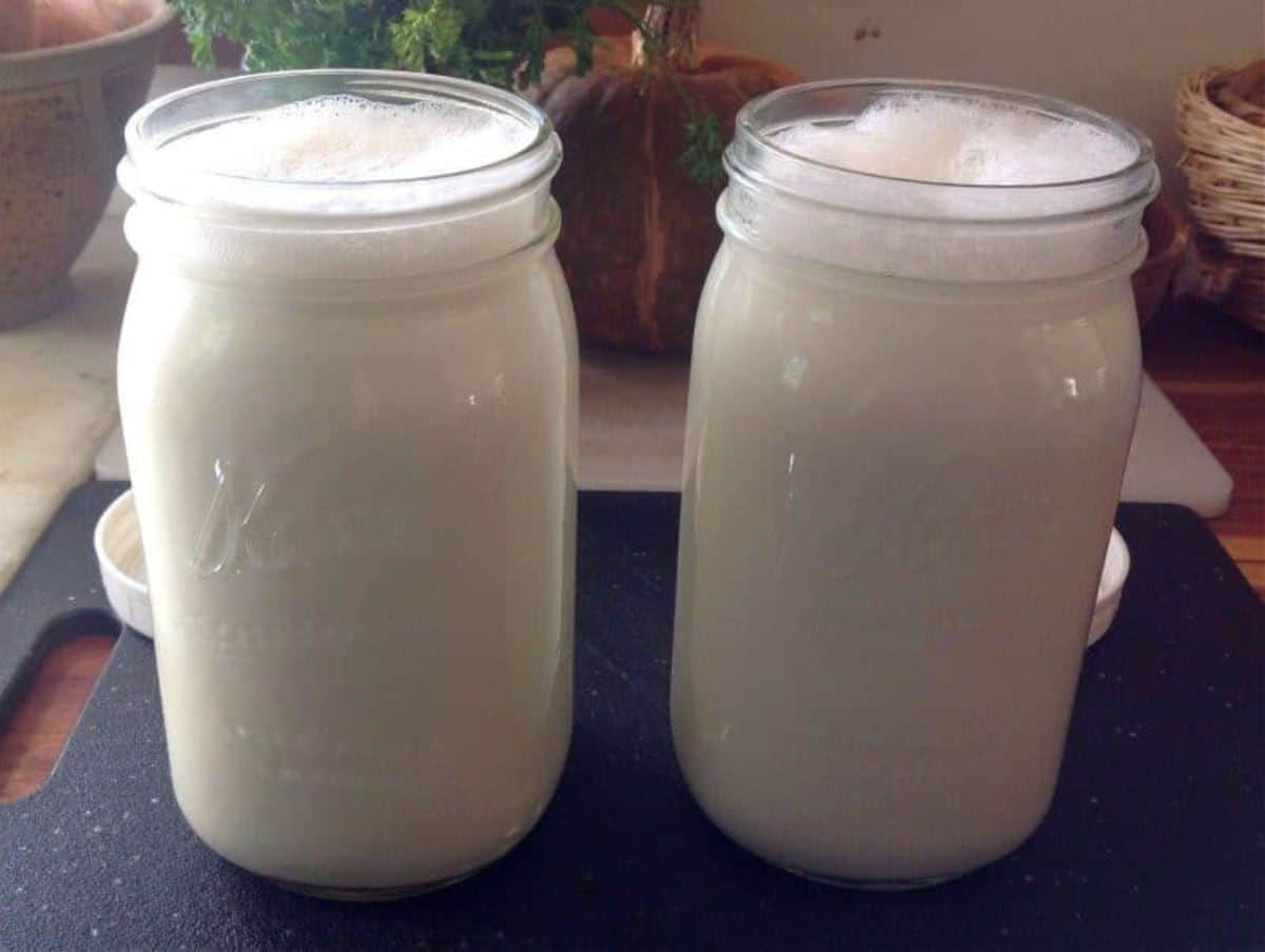 Homemade yogurt in two glass jars.