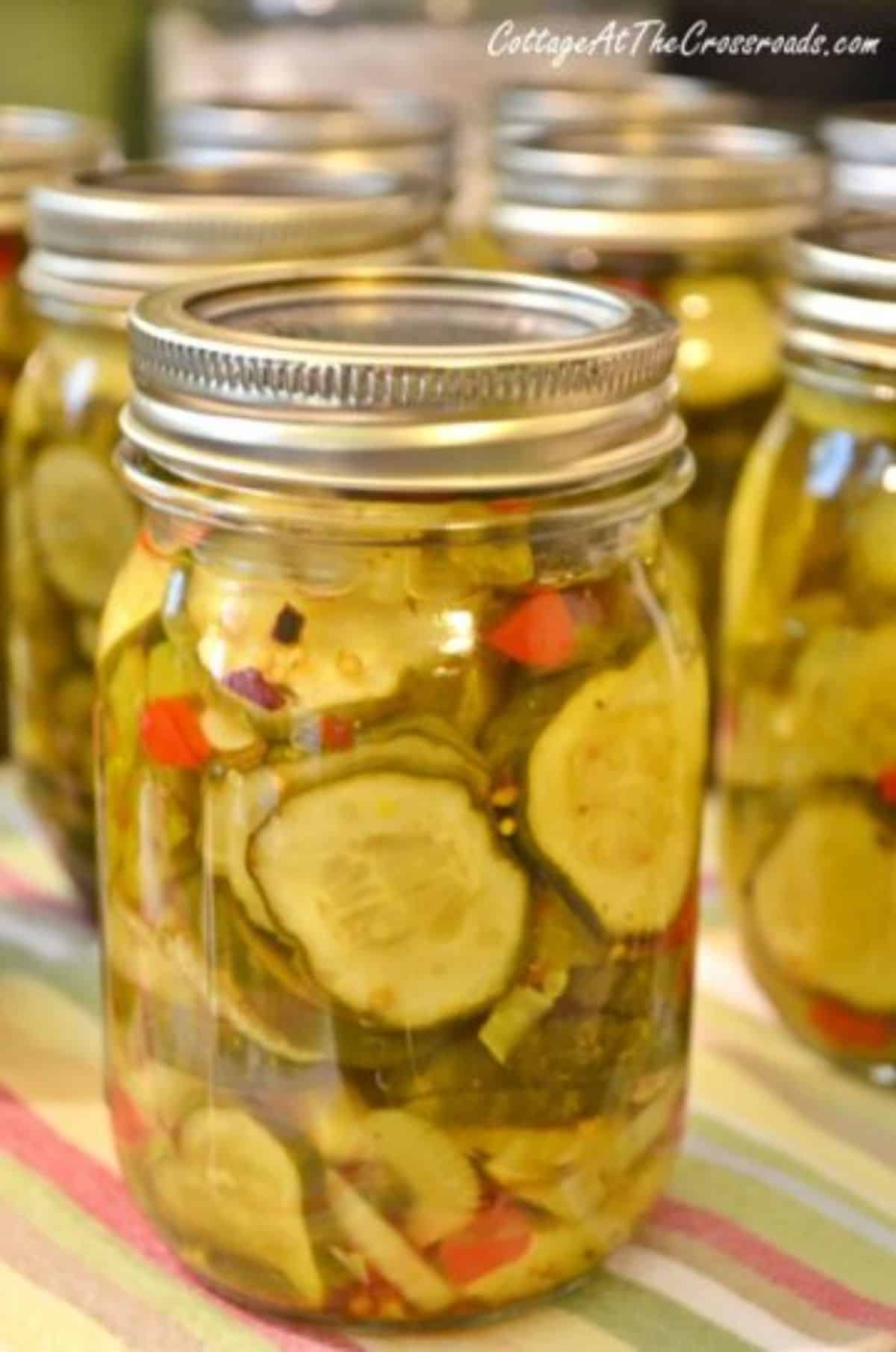 Zesty bread and butter pickles in glass jars.