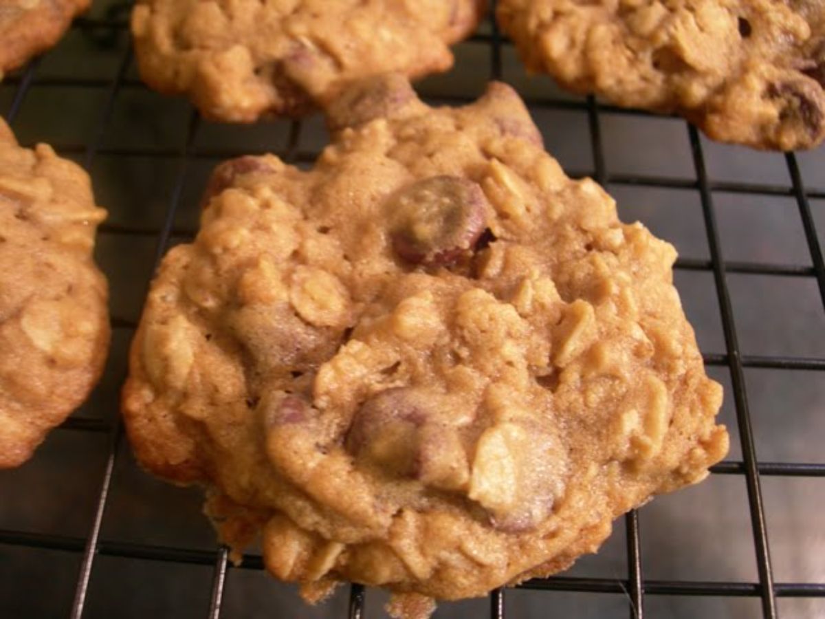 Crunchy oatmeal molasses cookies on a resting grid.