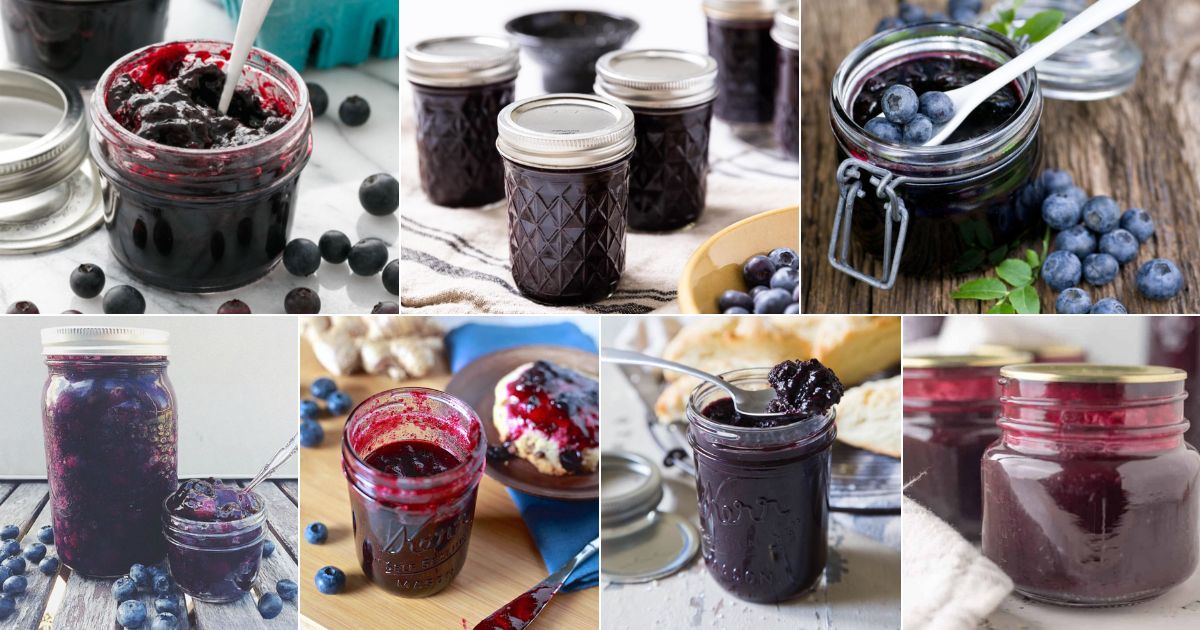 11 blueberry canning recipes that are amazing  facebook image.