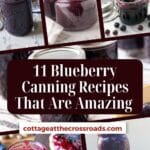11 blueberry canning recipes that are amazing  pinterest image.