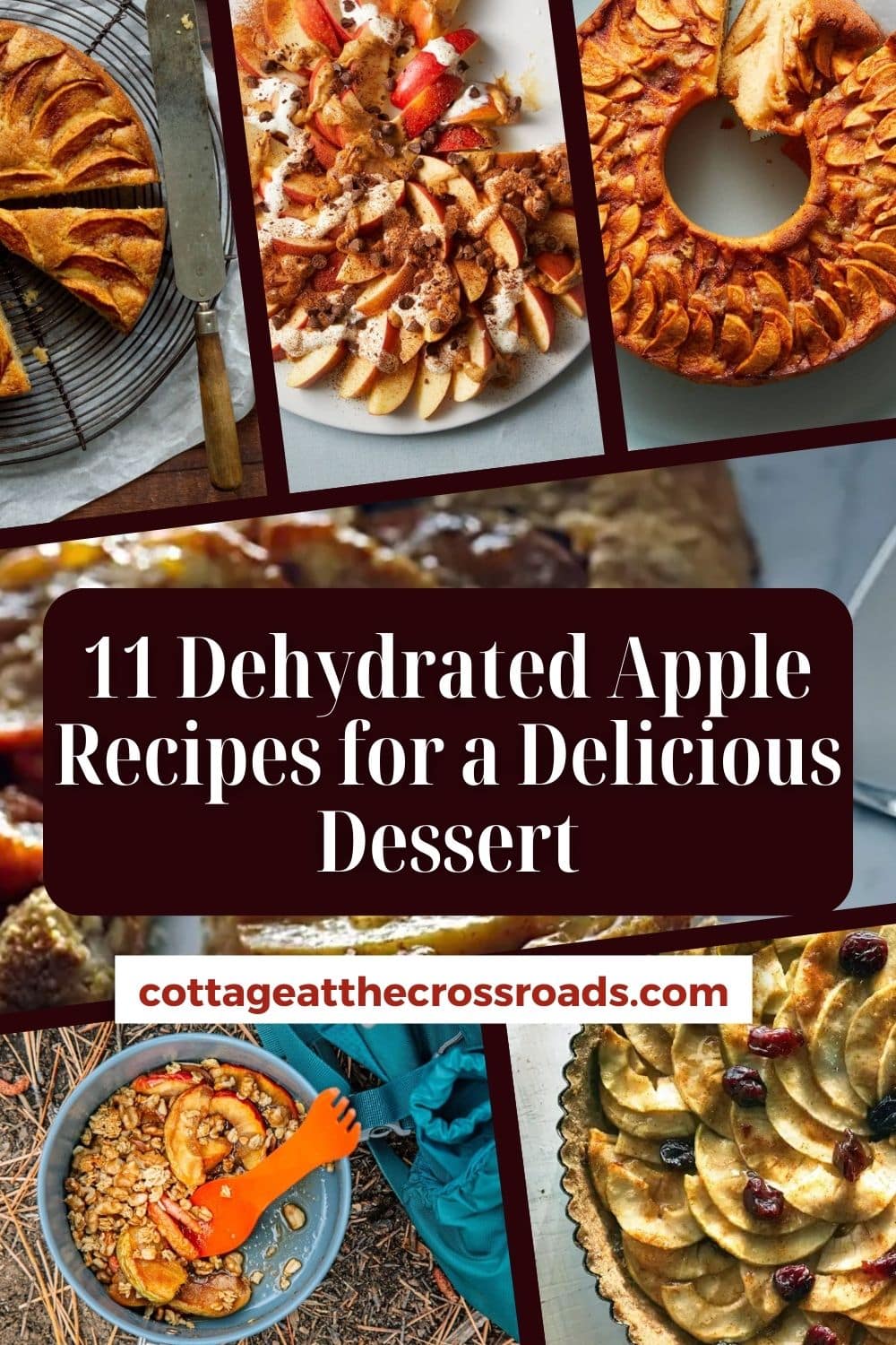 11 Dehydrated Apple Recipes For A Delicious Dessert Cottage At The   11 Dehydrated Apple Recipes Pin 