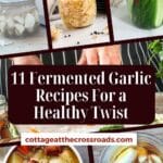 11 fermented garlic recipes for a healthy twist pinterest image.
