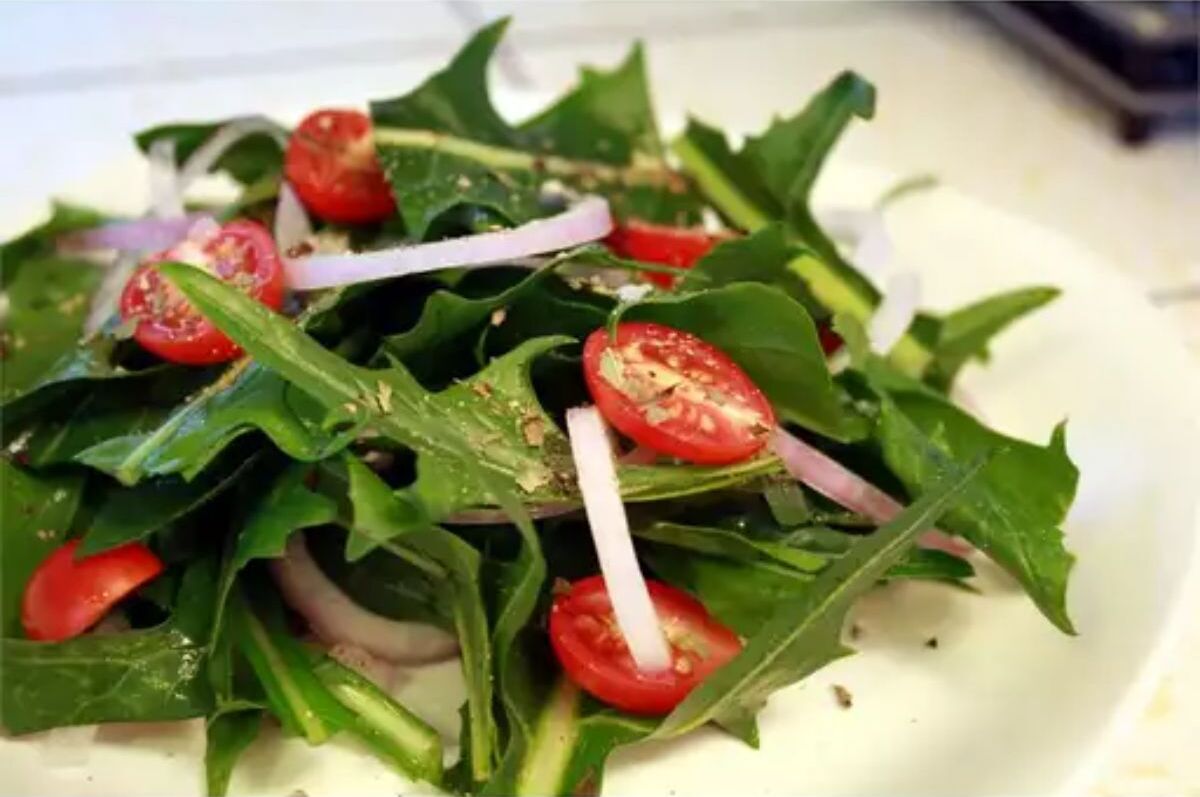 Healthy dandelion salad on a white plate.