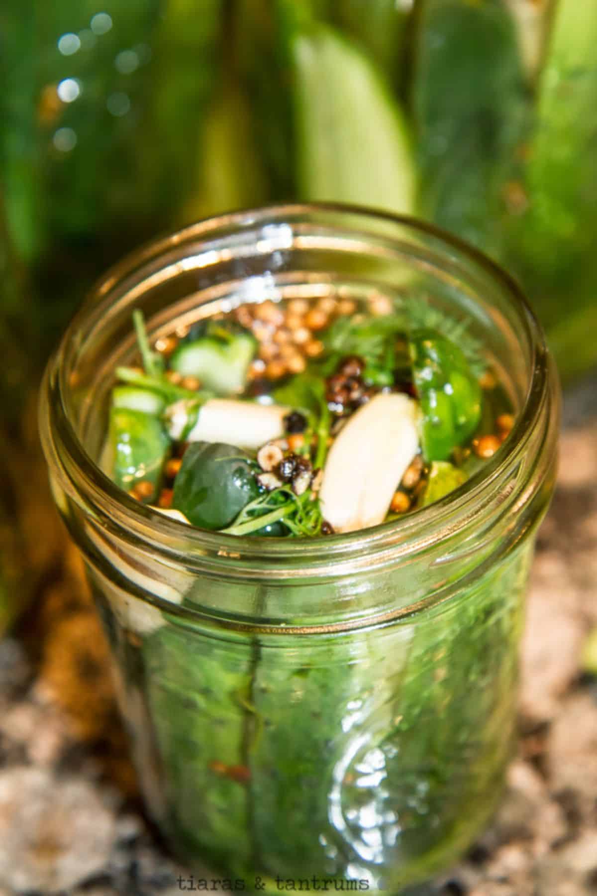 Ultimate classic kosher dill pickles in a glass jar.