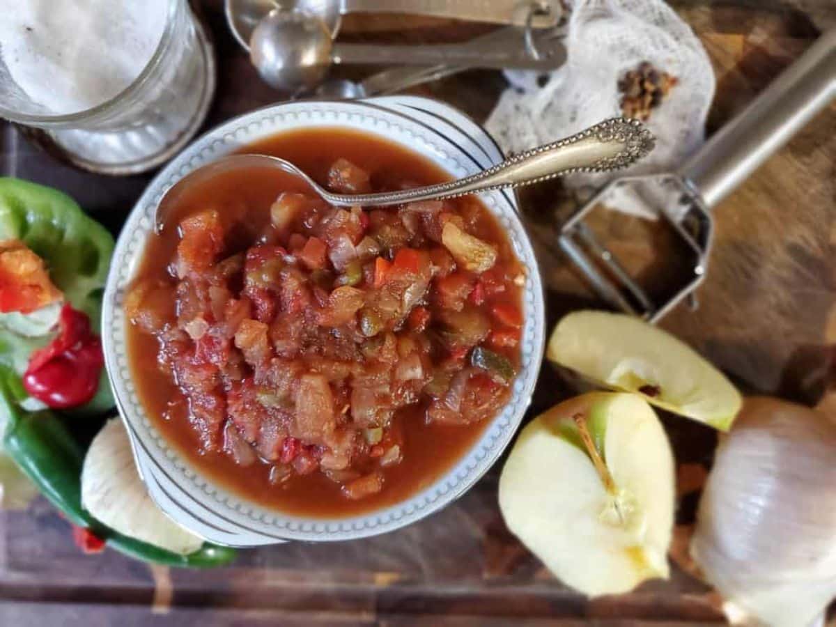 Yummy canned apple salsa in a bowl with a spoon.