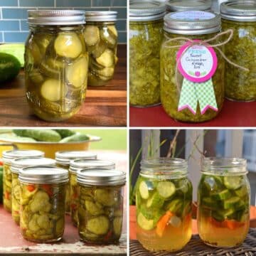 Four delicious canned pickles.