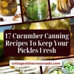 17 cucumber canning recipes to keep your pickles fresh pinterest image.