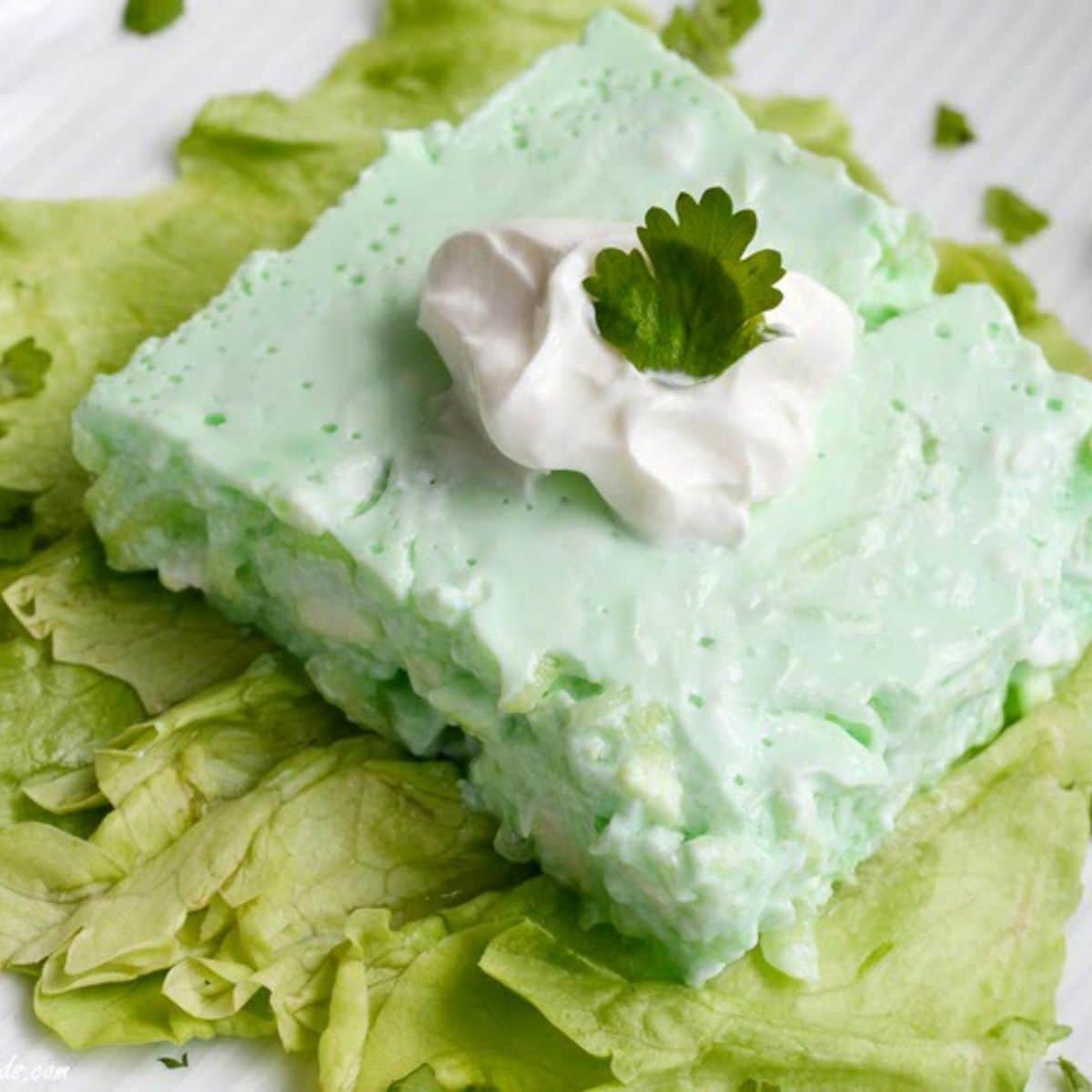 Delicious cucumber salad on a white plate.