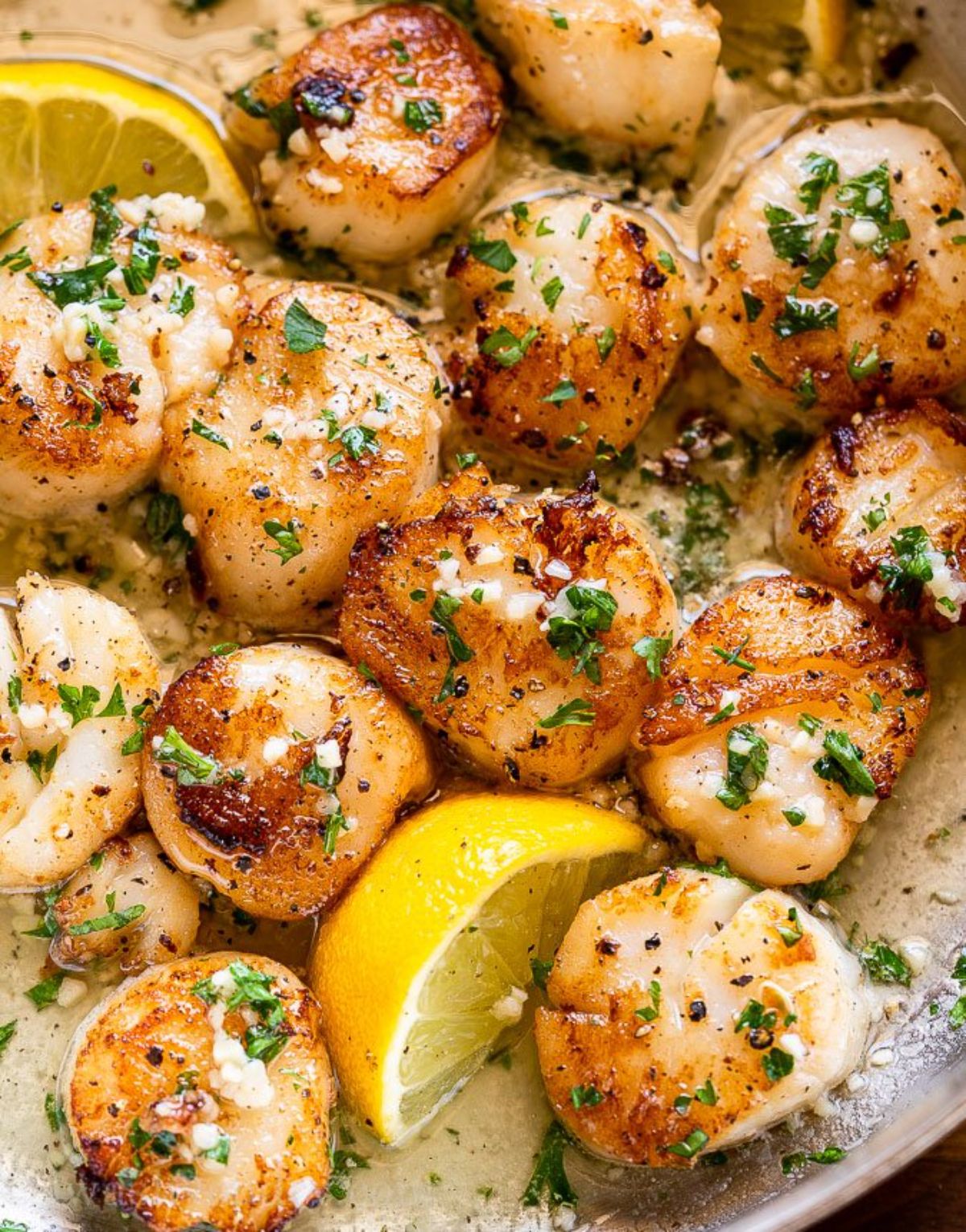 Yummy garlic butter scallops on a white plate.