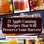 21 apple canning recipes that will preserve your harvest pinterest image.