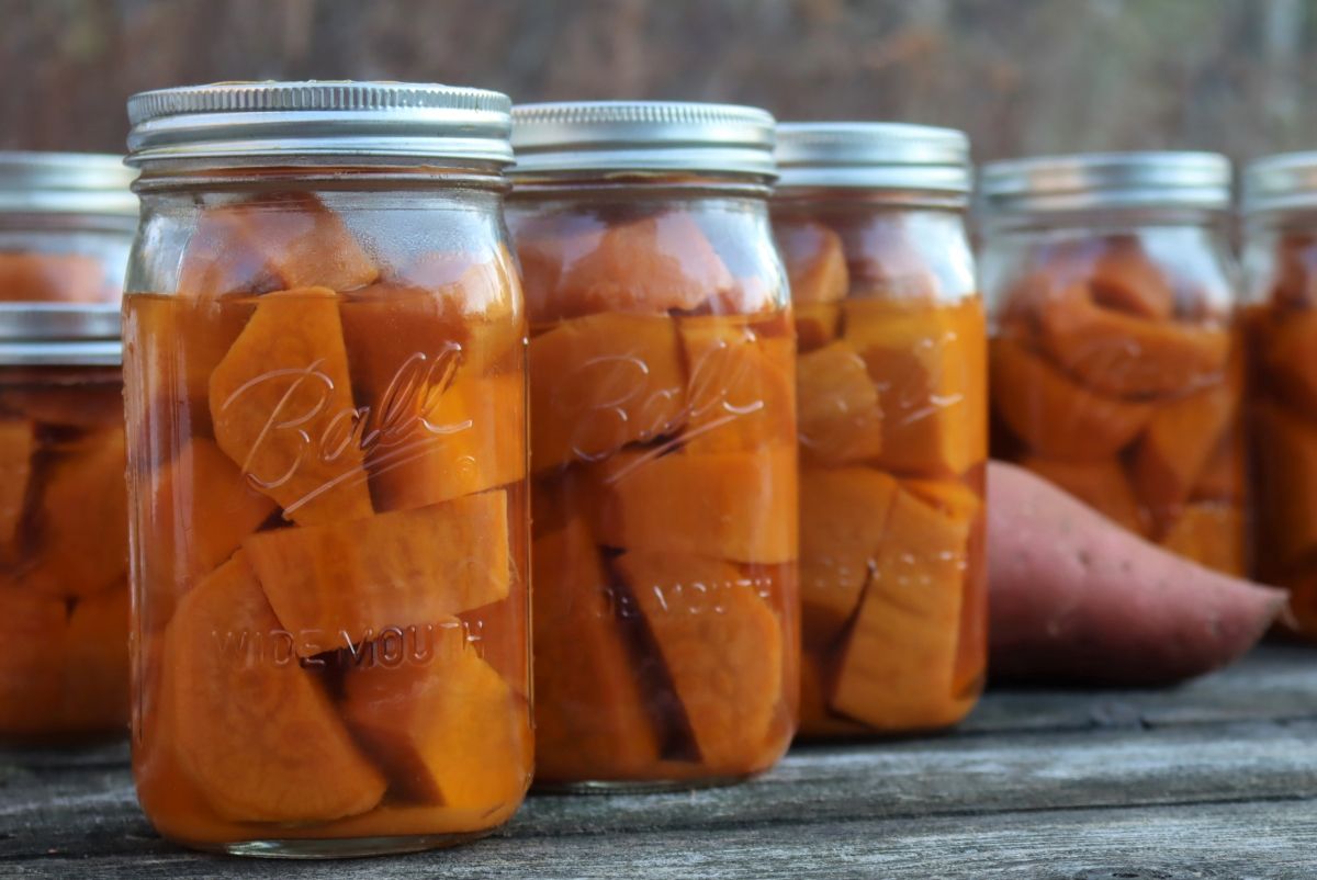 Canned sweet potatoes in glass jars.