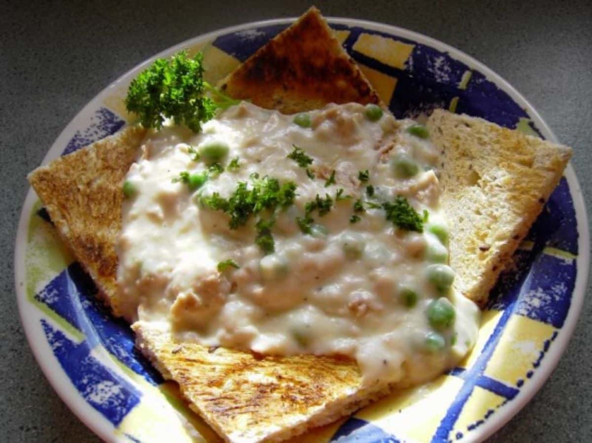 Deliicous creamed tuna on toast on a colorful plate.