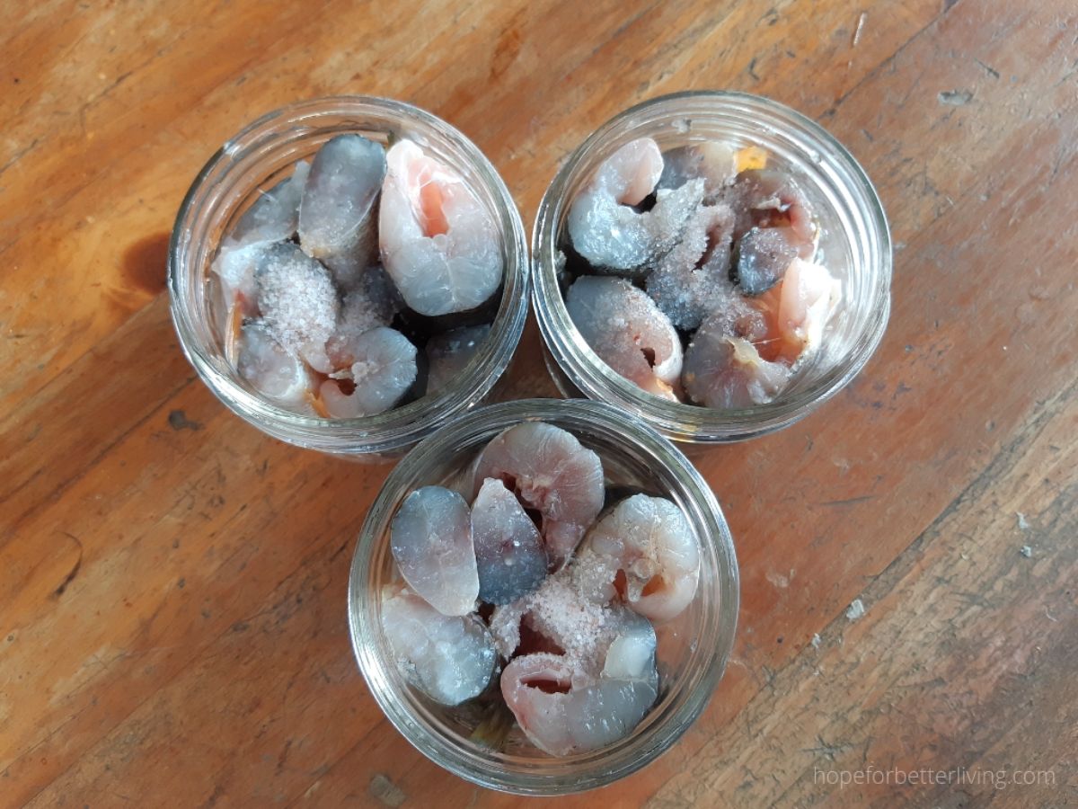 Canned fish in three glass jars.