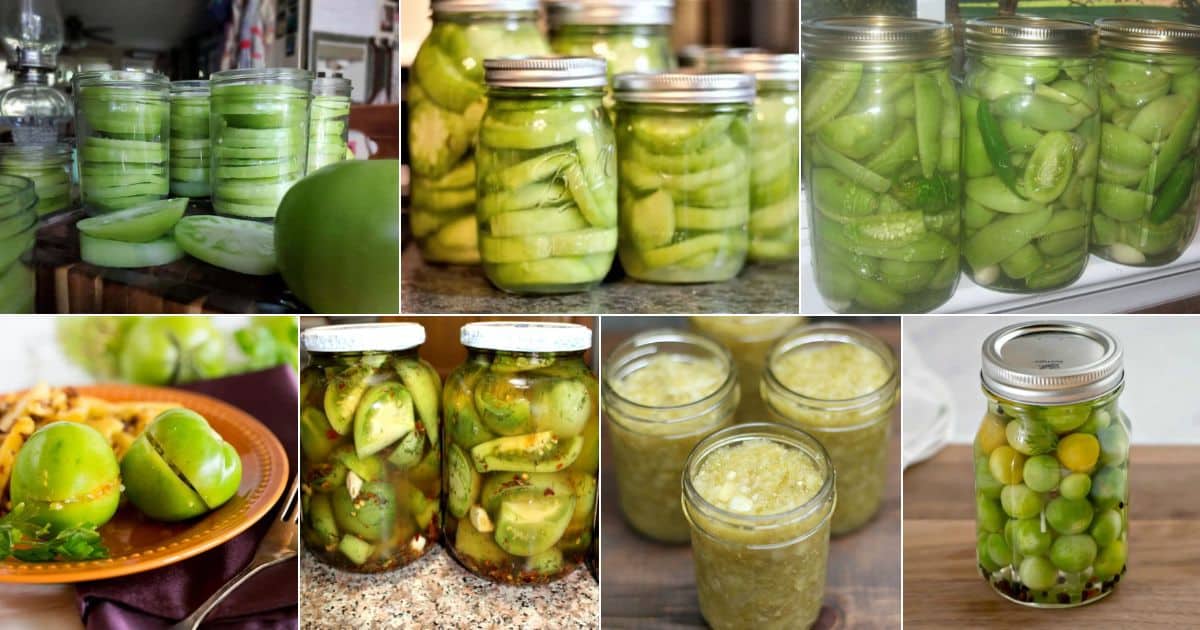 37 green tomato canning recipes that are simply delicious facebook image.