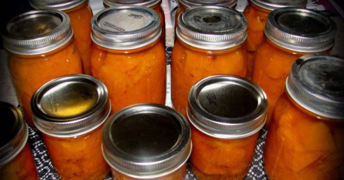Canned pumpkin in glass jars.