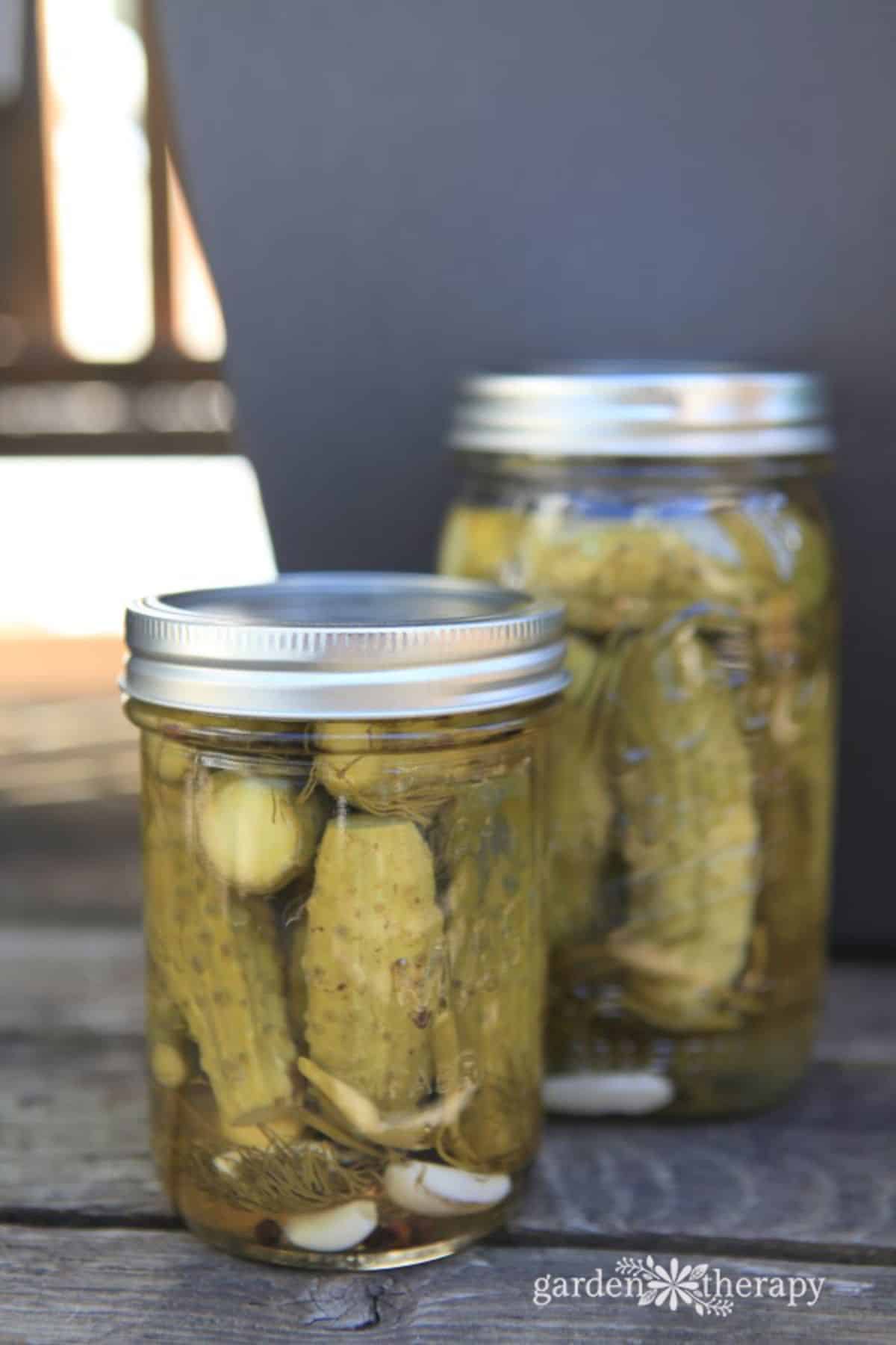 Delicious sour pickles in two glass jars.