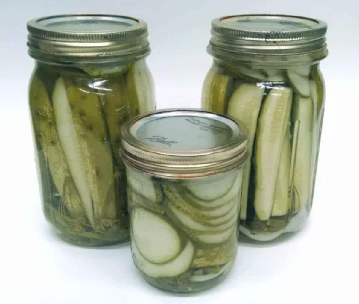 Garlic jalapeño dill pickles in glass jars.