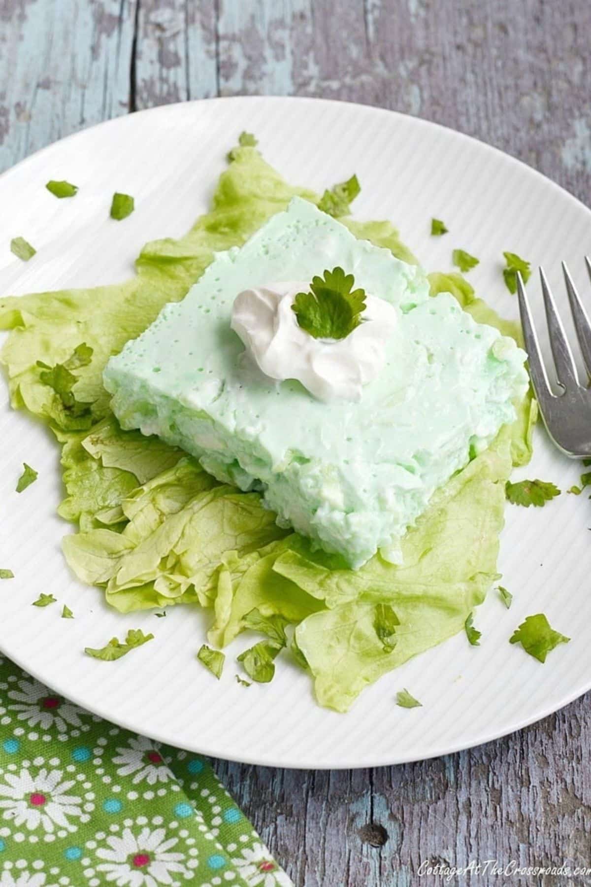 A piece of cucumber salad on a white plate.