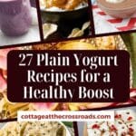 27 plain yogurt recipes for a healthy boost pinterest image.