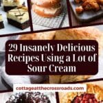29 insanely delicious recipes using a lot of sour cream pinterest image.