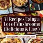 31 recipes using a lot of mushrooms (delicious & easy) pinterest image.