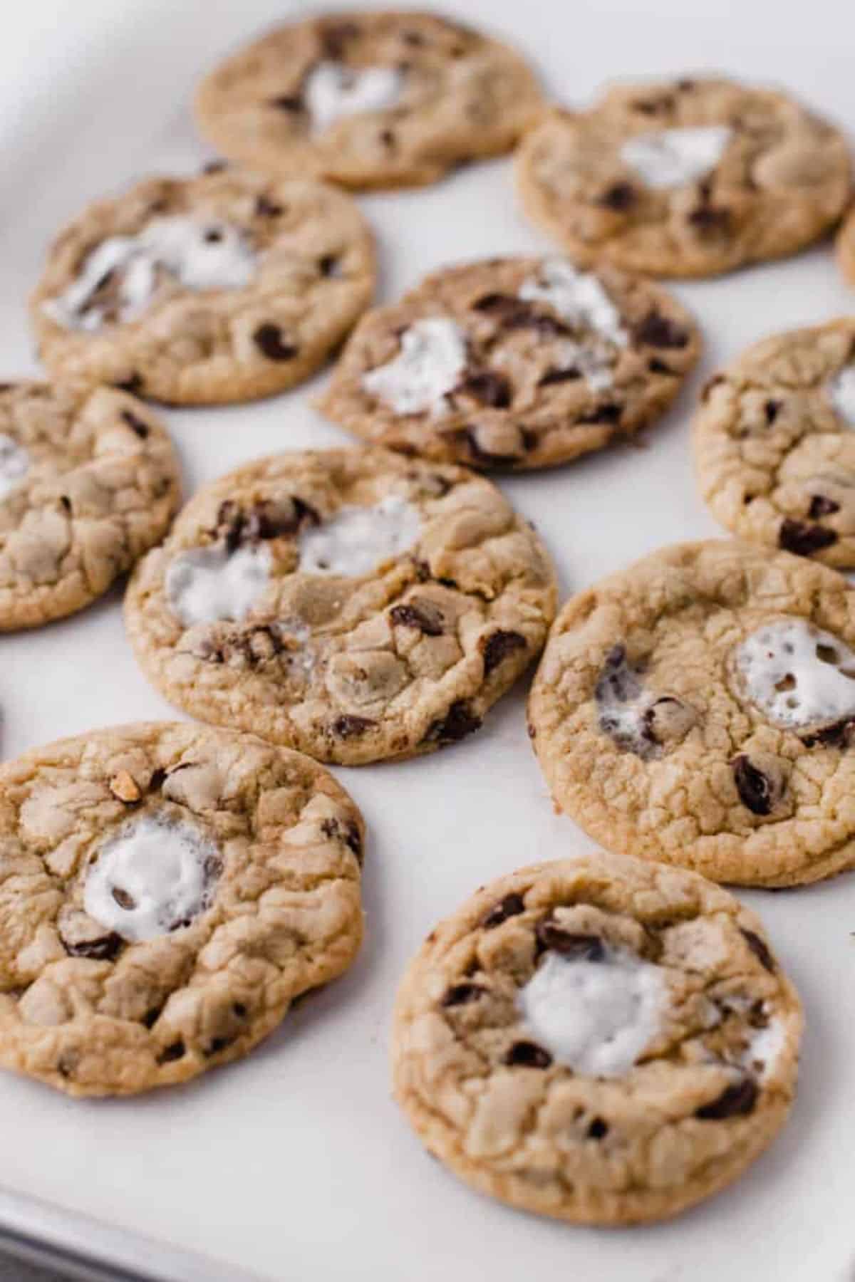 Crunchy s'mores cookies on a tray.