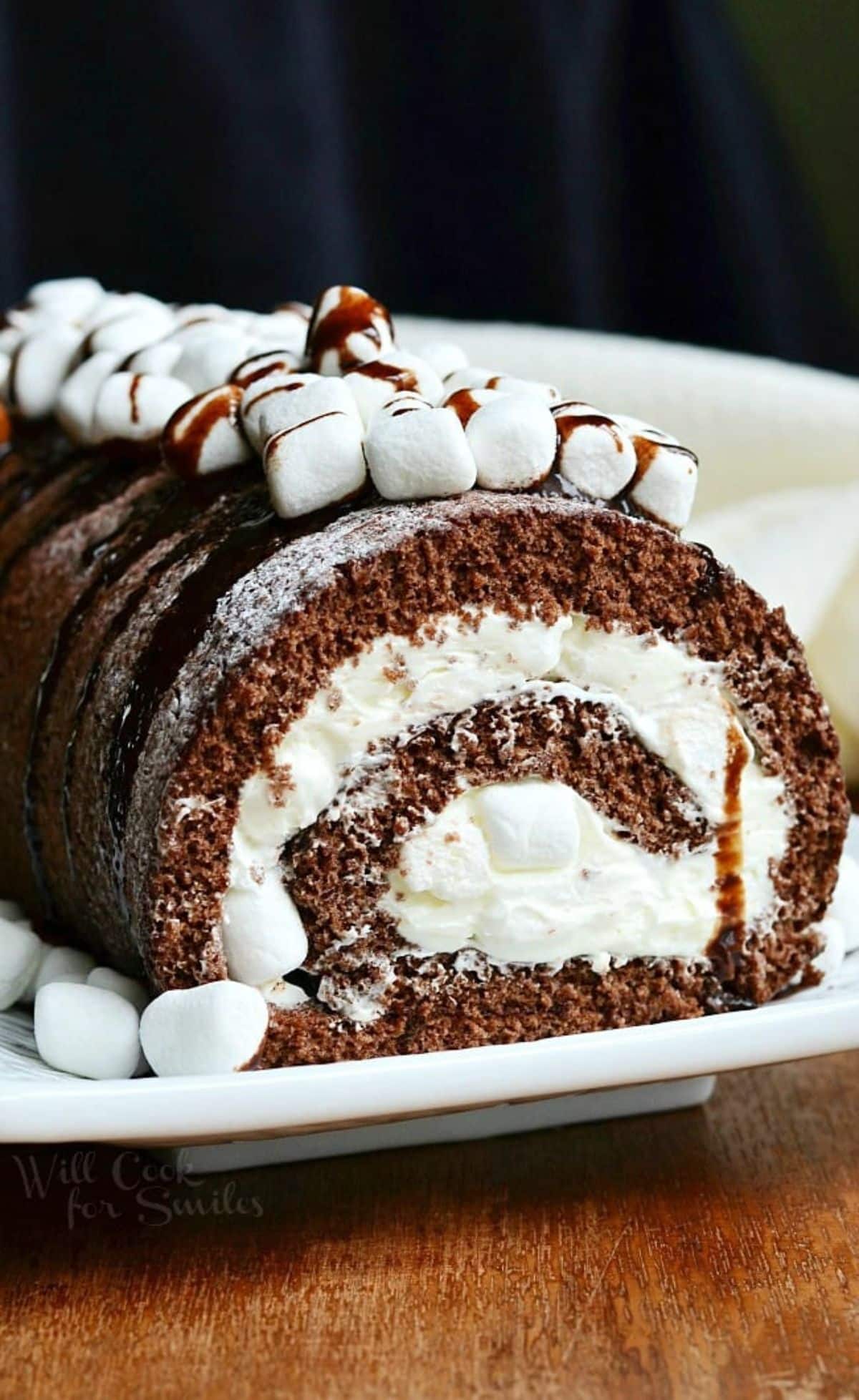 Mouth-watering hot chocolate cake roll on a white tray.
