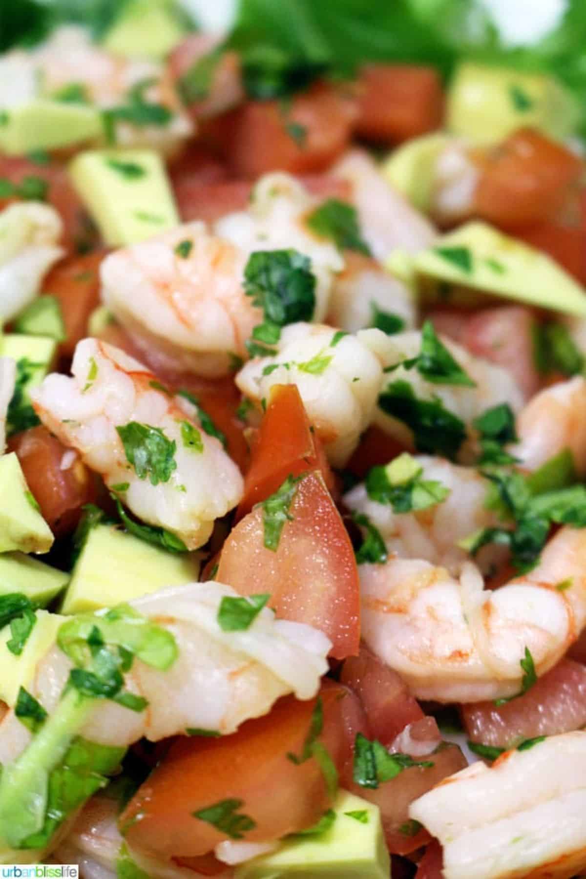 Healthy ceviche shrimp salad.