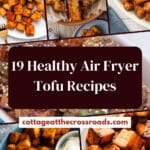 19 healthy air fryer tofu recipes pin