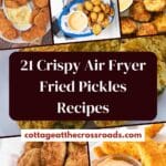 21 crispy air fryer fried pickles recipes pin