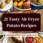 21 tasty air fryer potato recipes pin