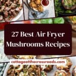 27 best air fryer mushrooms recipes pin