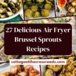 27-delicious-air-fryer-brussel-sprouts-recipes-pin