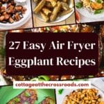27 easy air fryer eggplant recipe pin