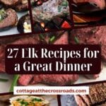 27 elk recipes for a great dinner pinterest image.