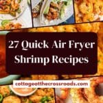 27 quick air fryer shrimp recipes pin