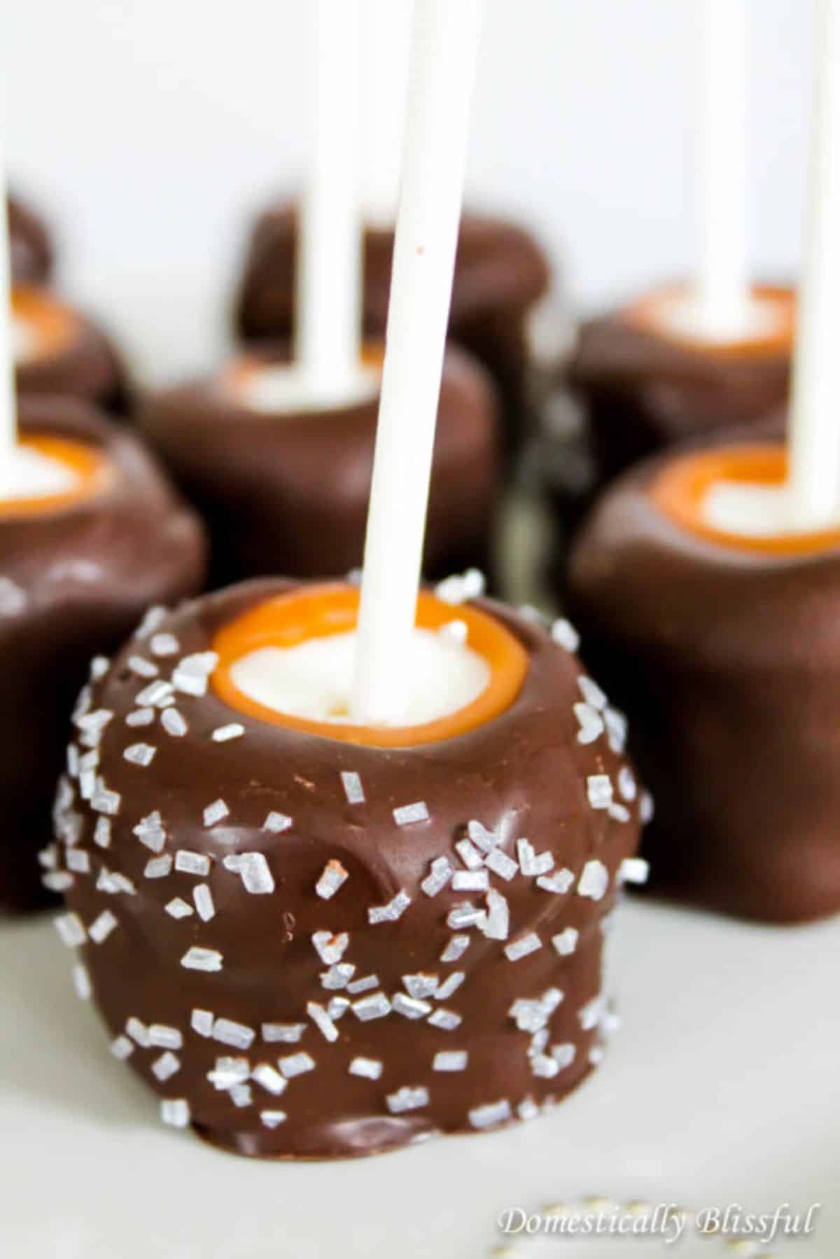 Scrumptious chocolate caramel marshmallows on a tray.