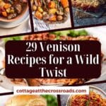 29 venison recipes for a wild twist pinterest image.