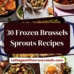30 frozen brussels sprouts recipes pin