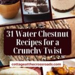 31 water chestnut recipes for a crunchy twist pinterest image.