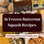 36 frozen butternut squash recipes pin