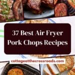 37 best air fryer pork chops recipes pin