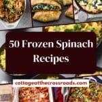 50 frozen spinach recipes pin