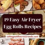 19 easy air fryer egg rolls recipes pin